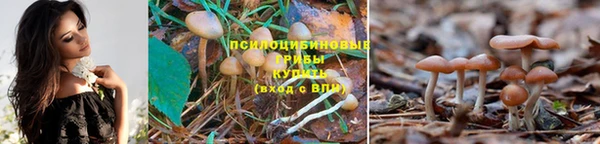 кокаин VHQ Нефтегорск