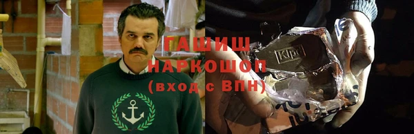 молекула духа Новозыбков
