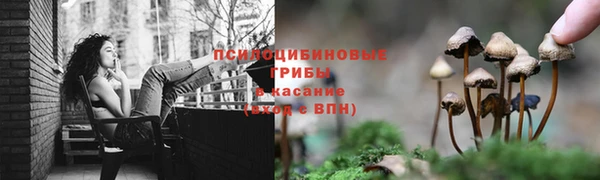 молекула духа Новозыбков
