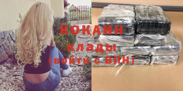 молекула духа Новозыбков