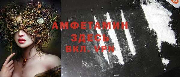 молекула духа Новозыбков