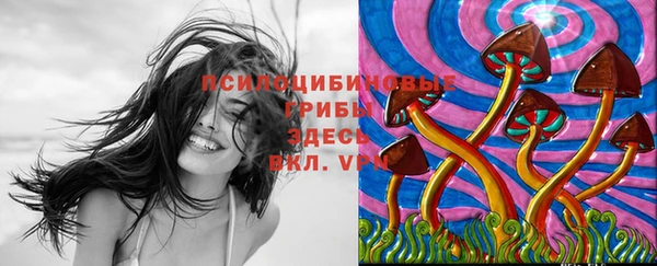гидропоника Нея