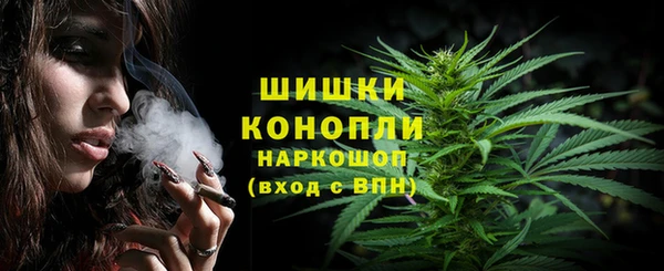 молекула духа Новозыбков