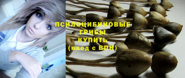 таблы Новокубанск