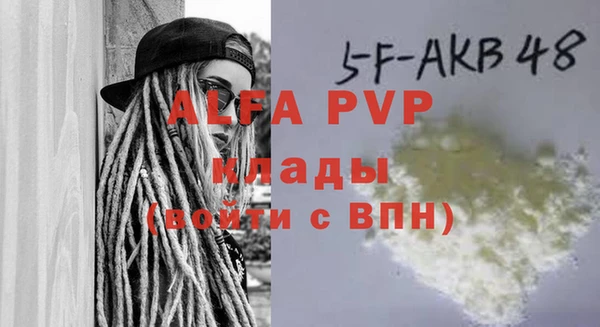 молекула духа Новозыбков