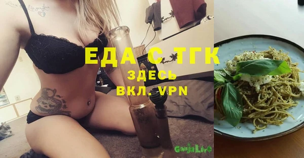 молекула духа Новозыбков